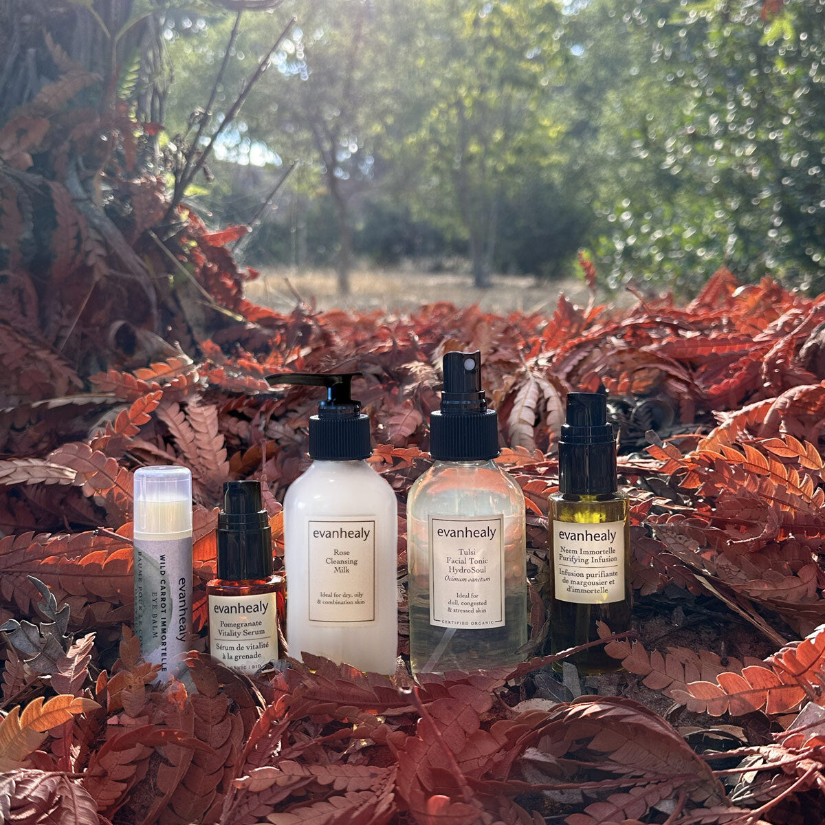 Harvest Ritual