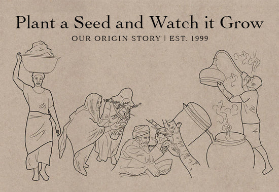 Booklet cover titled ‘Plant a Seed and Watch it Grow’ with line-drawn figures harvesting plants and distilling herbs on a textured tan background