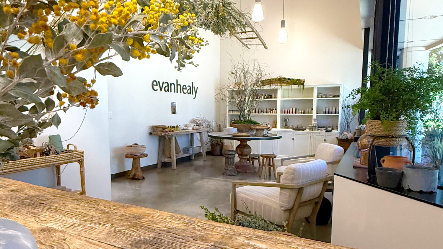 Evanhealy Garden salon and retail space featuring skincare products, plants, and seating