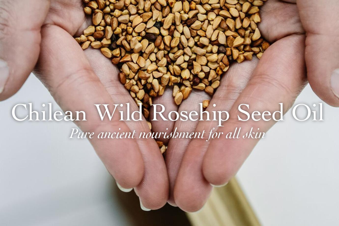 Close-up of hands holding Chilean wild rosehip seeds with overlaid headline “Chilean Wild Rosehip Seed Oil”
