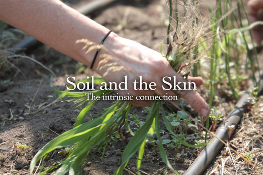 Hands pulling weeds from dry garden soil beside a drip irrigation line