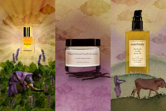 Three evanhealy patchouli products: perfume, whipped shea butter jar, and Patchouli Vanilla body oil on a watercolor triptych background