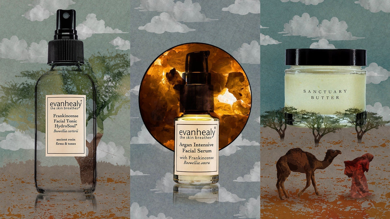 Front view of three evanhealy products: Frankincense Facial Tonic HydroSoul spray, Argan Intensive Facial Serum pump, and Sanctuary Butter jar against a stylized desert collage with clouds, trees, and a camel