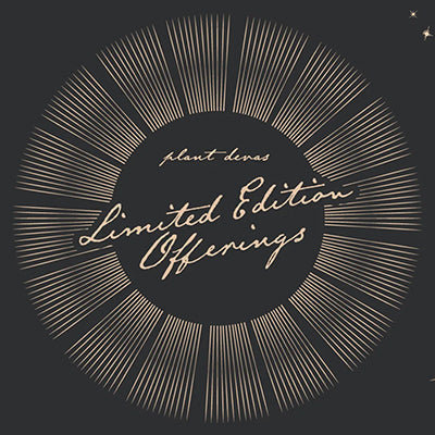 Celestial energy shapes our limited-edition offerings