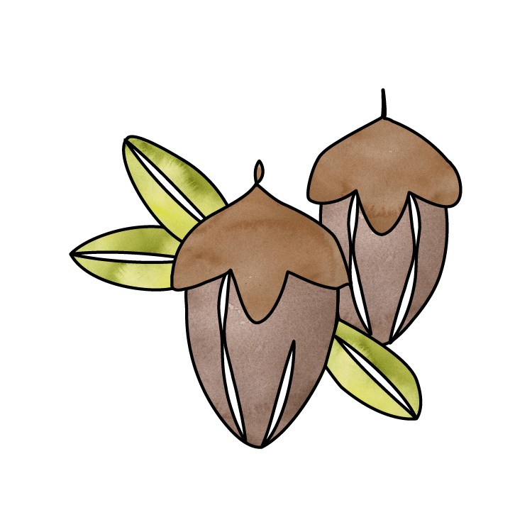 Made with jojoba