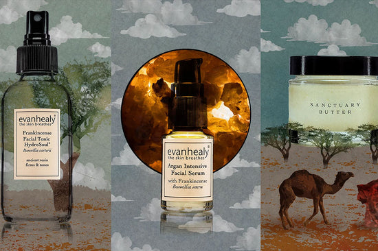 Three evanhealy frankincense skincare products displayed against an illustrated desert backdrop with camels and cloudy sky