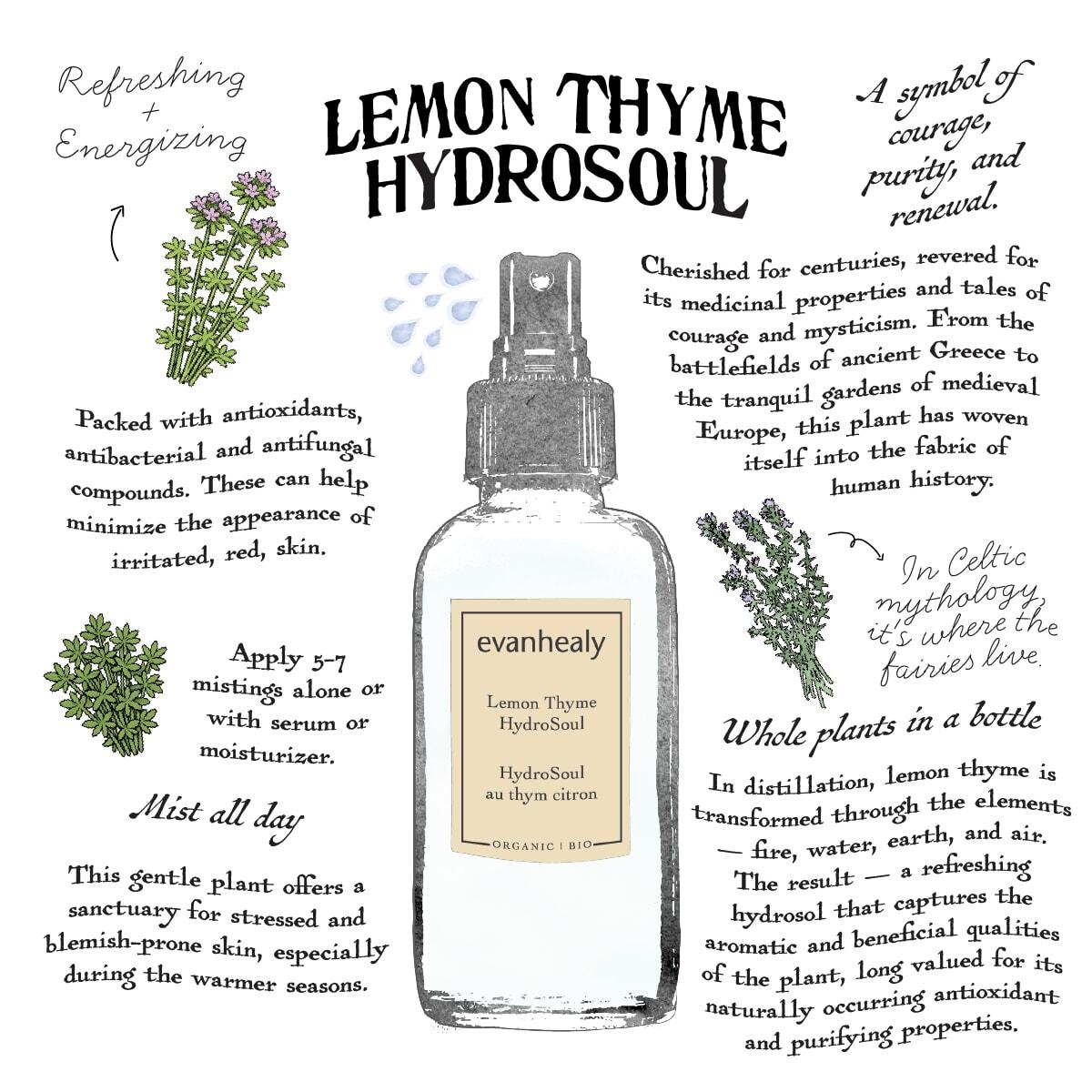 Infographic showing Lemon Thyme HydroSoul benefits, hydrosol production, and use as a refreshing facial and body mist
