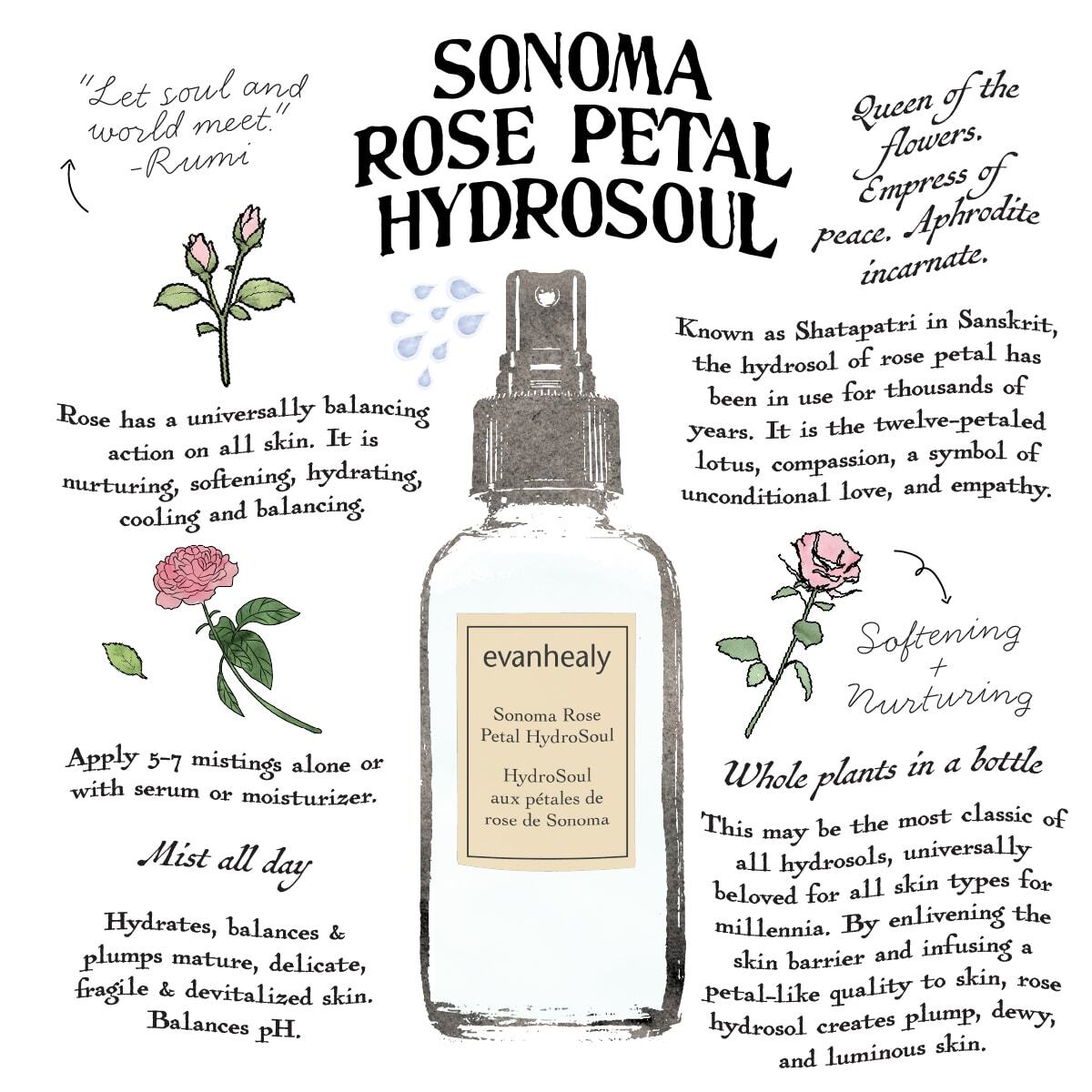Sonoma Rose Petal Hydrosol infographic explaining its gentle, soothing, hydrating facial benefits and use