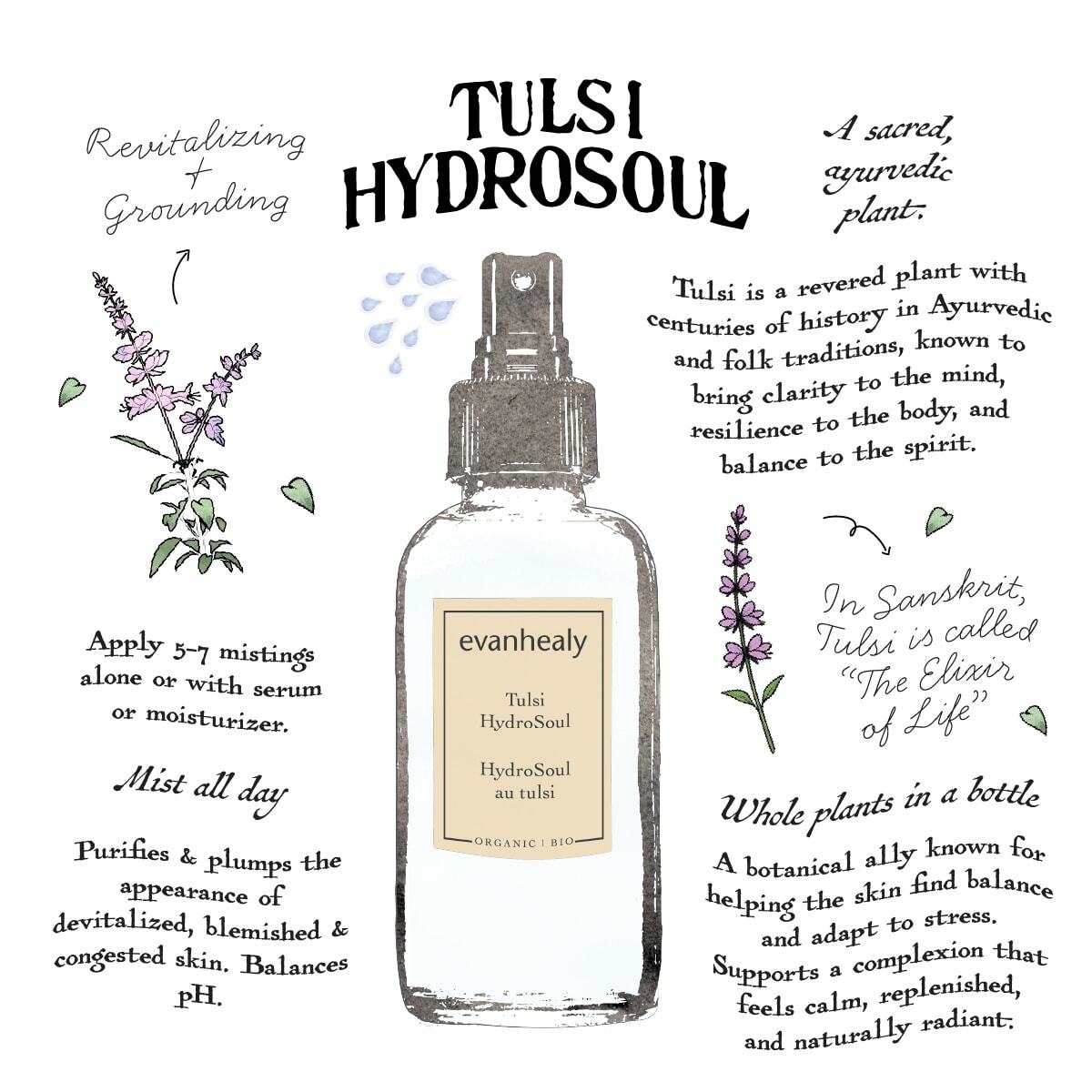 Illustrated card showing Tulsi HydroSoul as a vitalizing, antioxidant facial toner