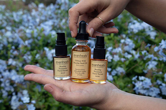 Close-up of three evanhealy rosehip oil bottles held in hands showing center dropper bottle and two pump bottles with blurred wildflower background