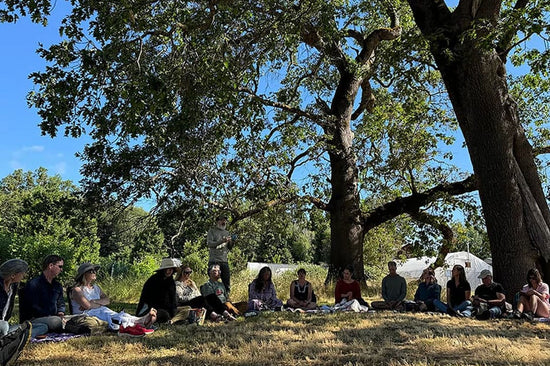 Group of people seated in a circle under a large tree in a sunny field during an outdoor learning session