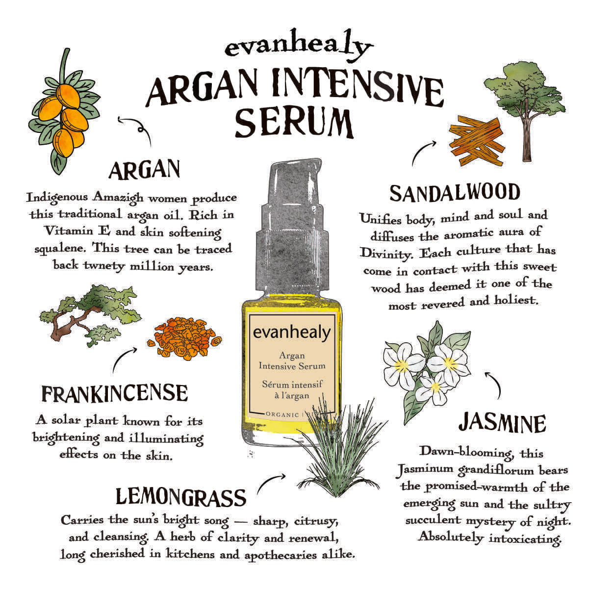 Infographic showing evanhealy Argan Intensive Serum and its argan, sandalwood, frankincense, jasmine, and lemongrass ingredients