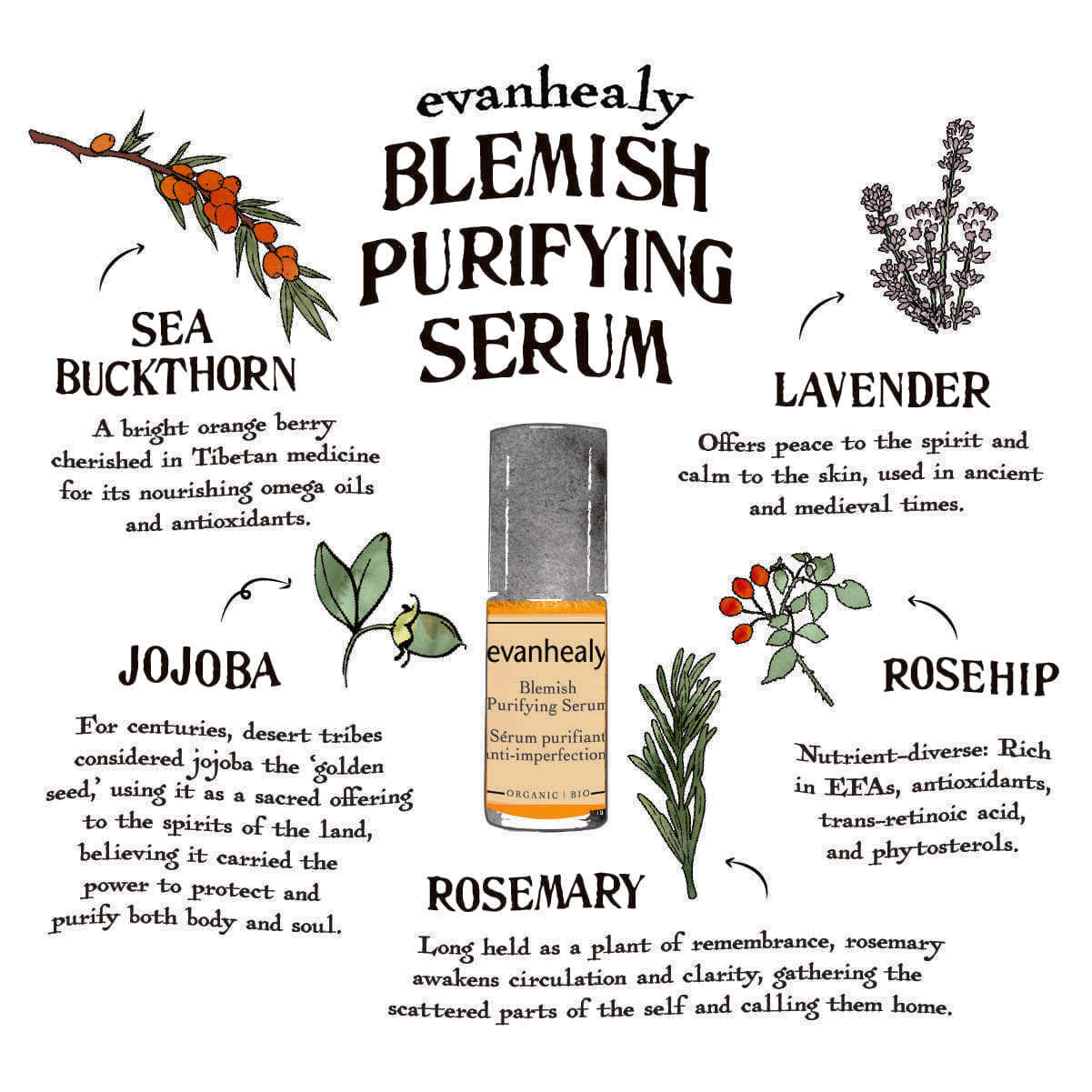 Botanical spot and blemish care protocol featuring sea buckthorn, lavender, jojoba, rosehip and rosemary