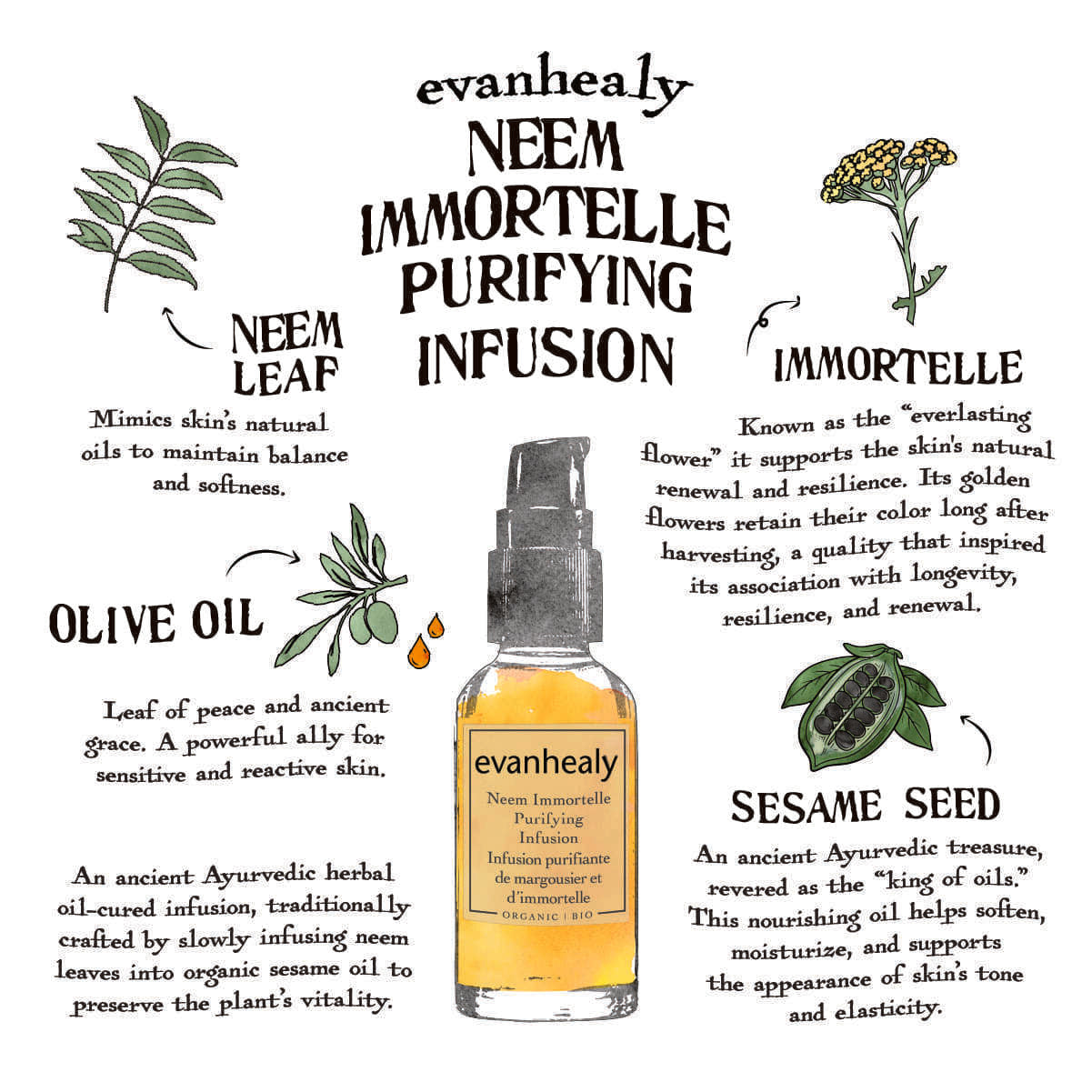 Illustration card showing evanhealy headline ‘NEEM IMMORTELLE PURIFYING INFUSION’, product bottle, and ingredient notes: neem leaf, immortelle, olive oil, sesame seed