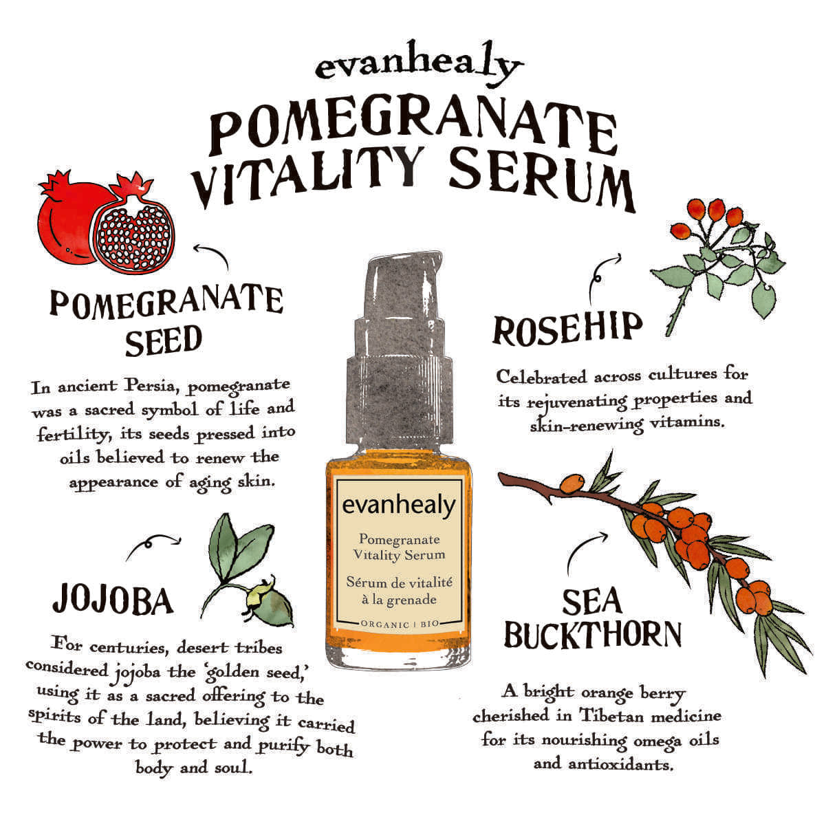 Ingredient infographic showing Pomegranate Vitality Serum with pomegranate seed, rosehip, jojoba, and sea buckthorn