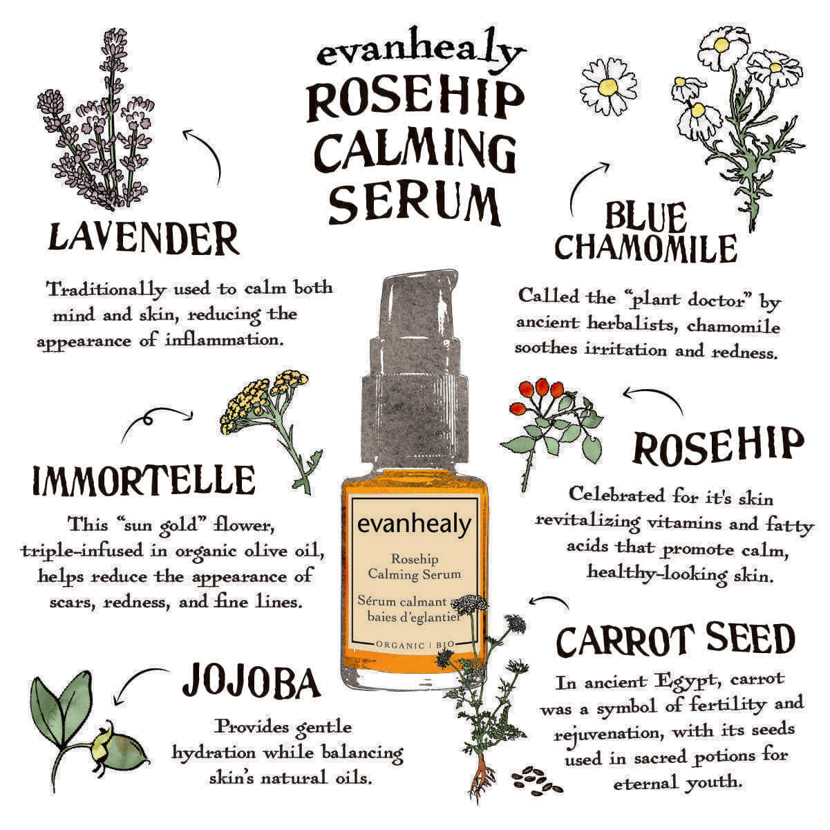 Infographic showing Rosehip Calming Serum and benefits of lavender, blue chamomile, immortelle, jojoba, and carrot seed