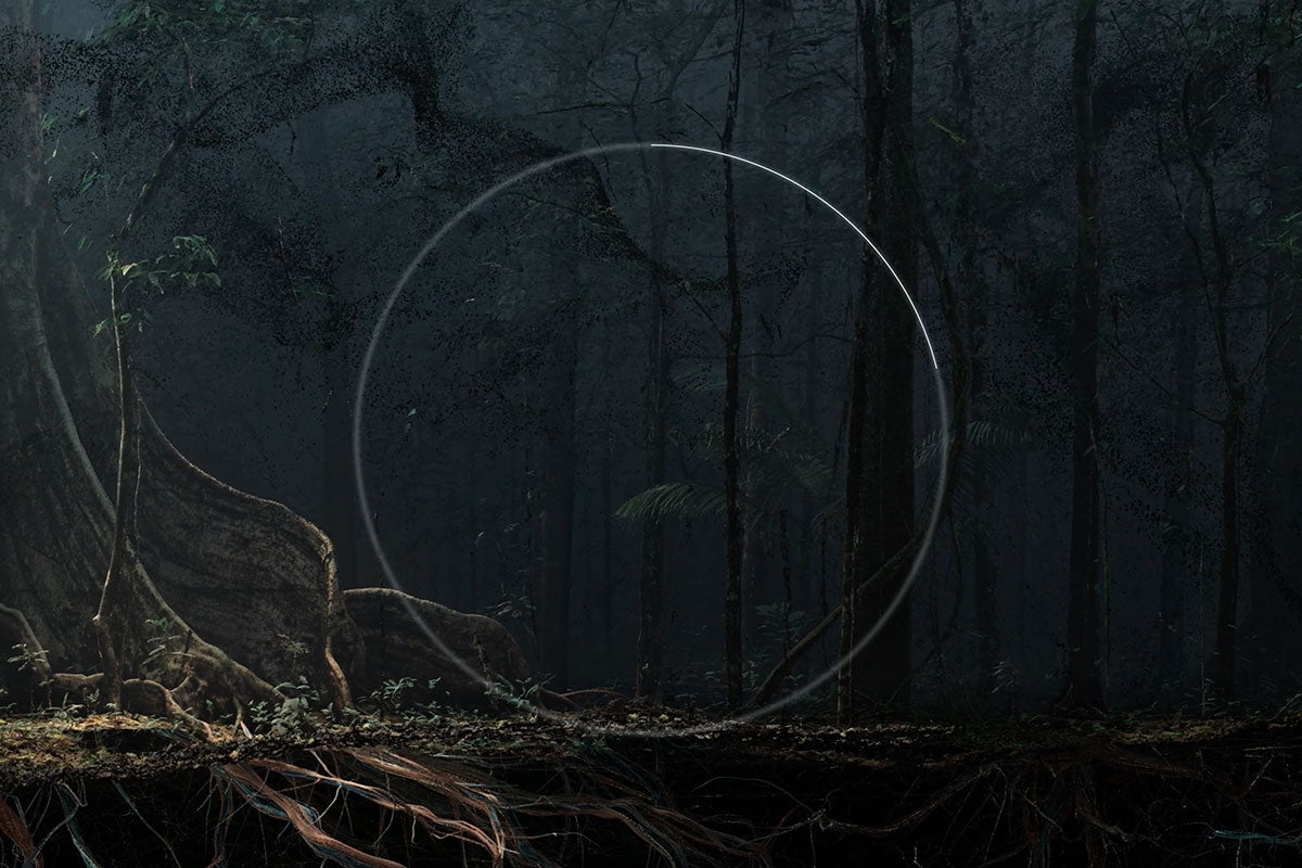 Dark rainforest scene with large exposed roots and a faint glowing circle overlay, moody meditative atmosphere