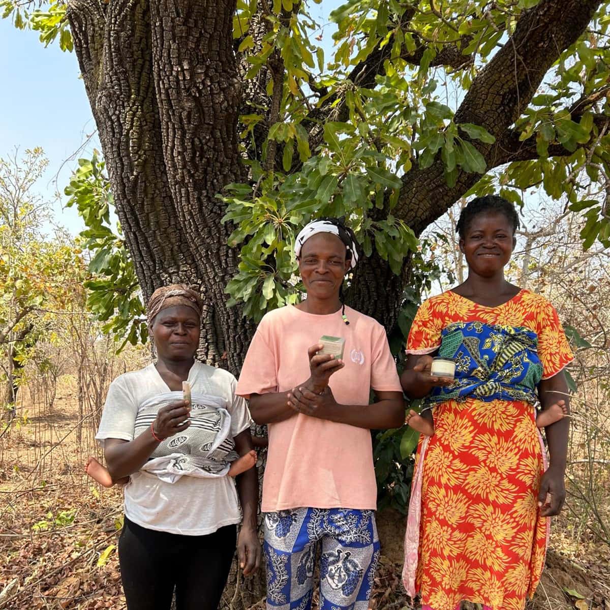 Three women shea stewards holding small jars of shea butter, standing under a large shea tree in a dry northern Ghana landscape