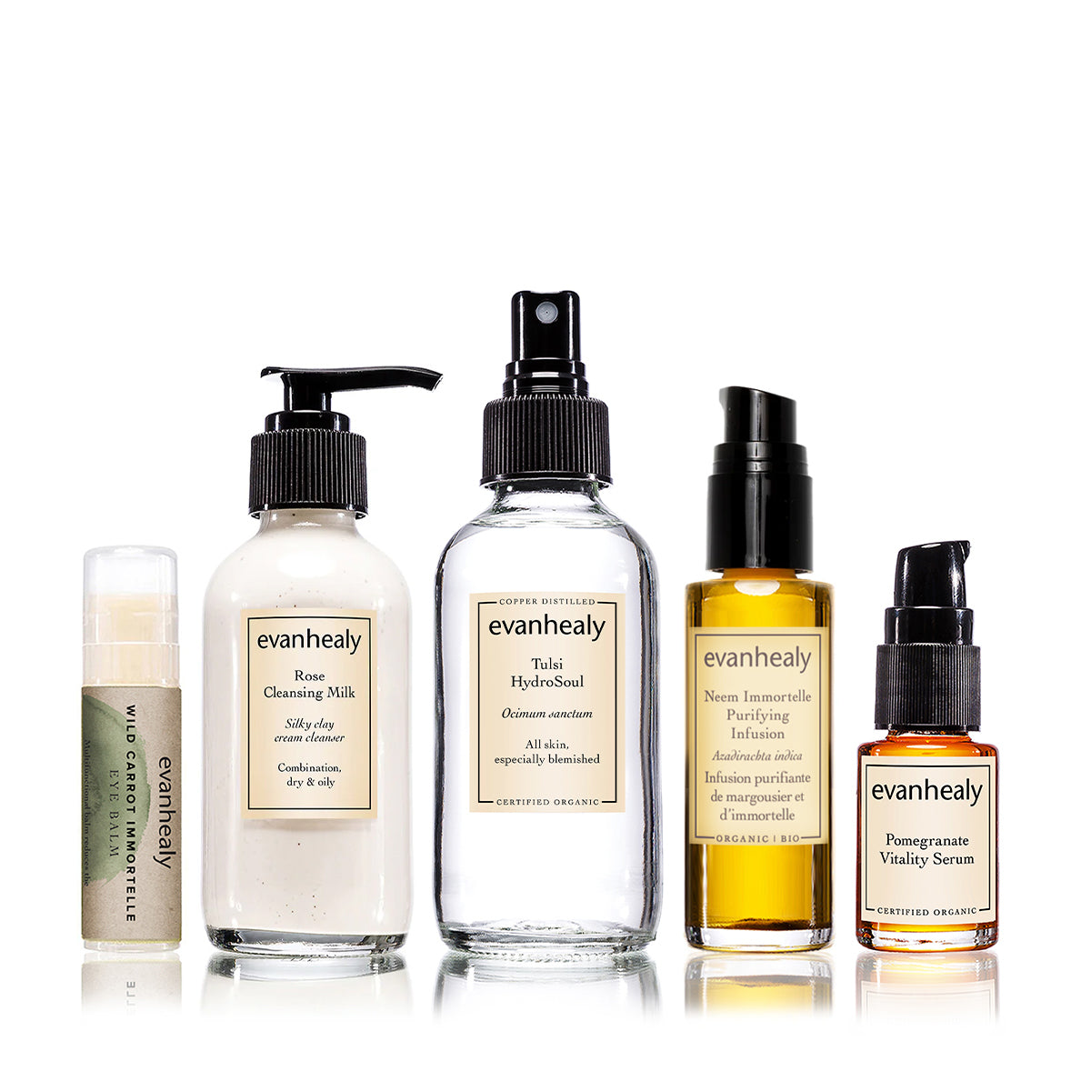 Front view of Harvest Ritual skincare collection showcasing assorted evanhealy bottles and tube on a white background