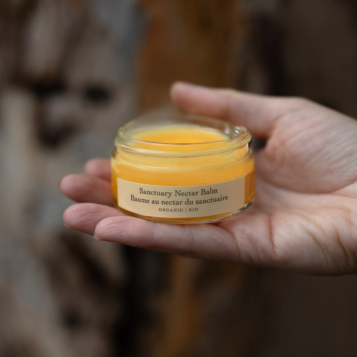 Close-up of Sanctuary Nectar Balm jar showcasing golden balm held in a hand with blurred wood background