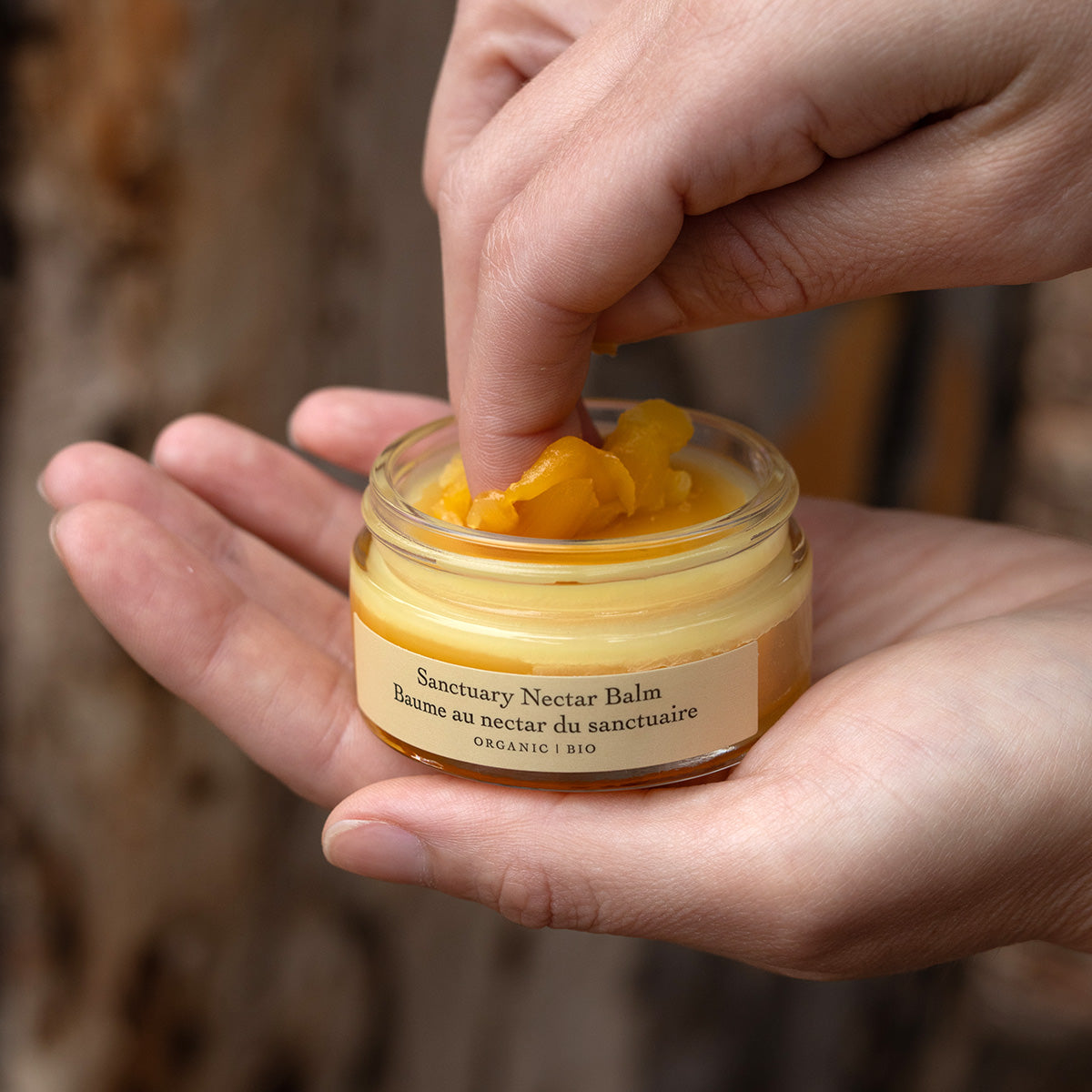 Close-up of Sanctuary Nectar Balm showcasing golden balm in an open glass jar held in hands against a wood background