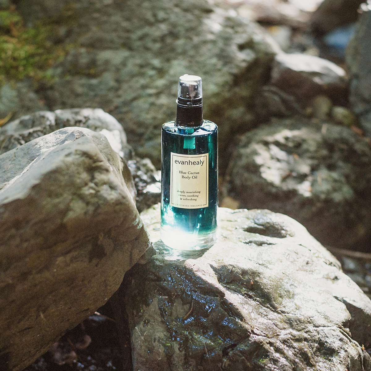 blue cactus body oil moisturizer glowing in sun on rock
