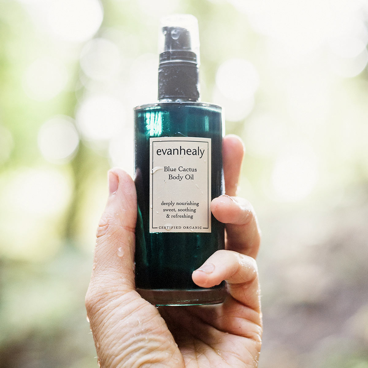 Close-up of Blue Cactus Body Oil showcasing its dark glass pump bottle held in a hand against a softly blurred green background