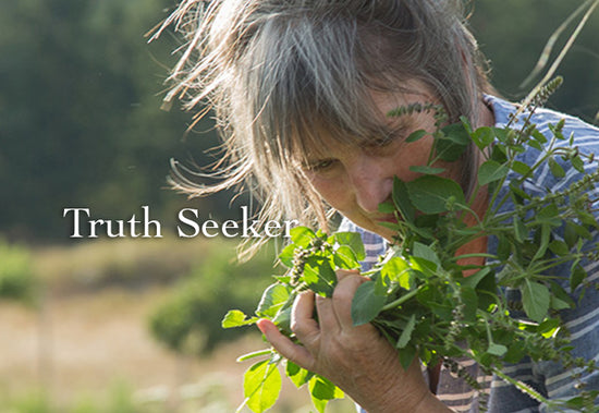 Front cover of booklet titled Truth Seeker showing a person smelling a bundle of fresh herbs in a sunlit field