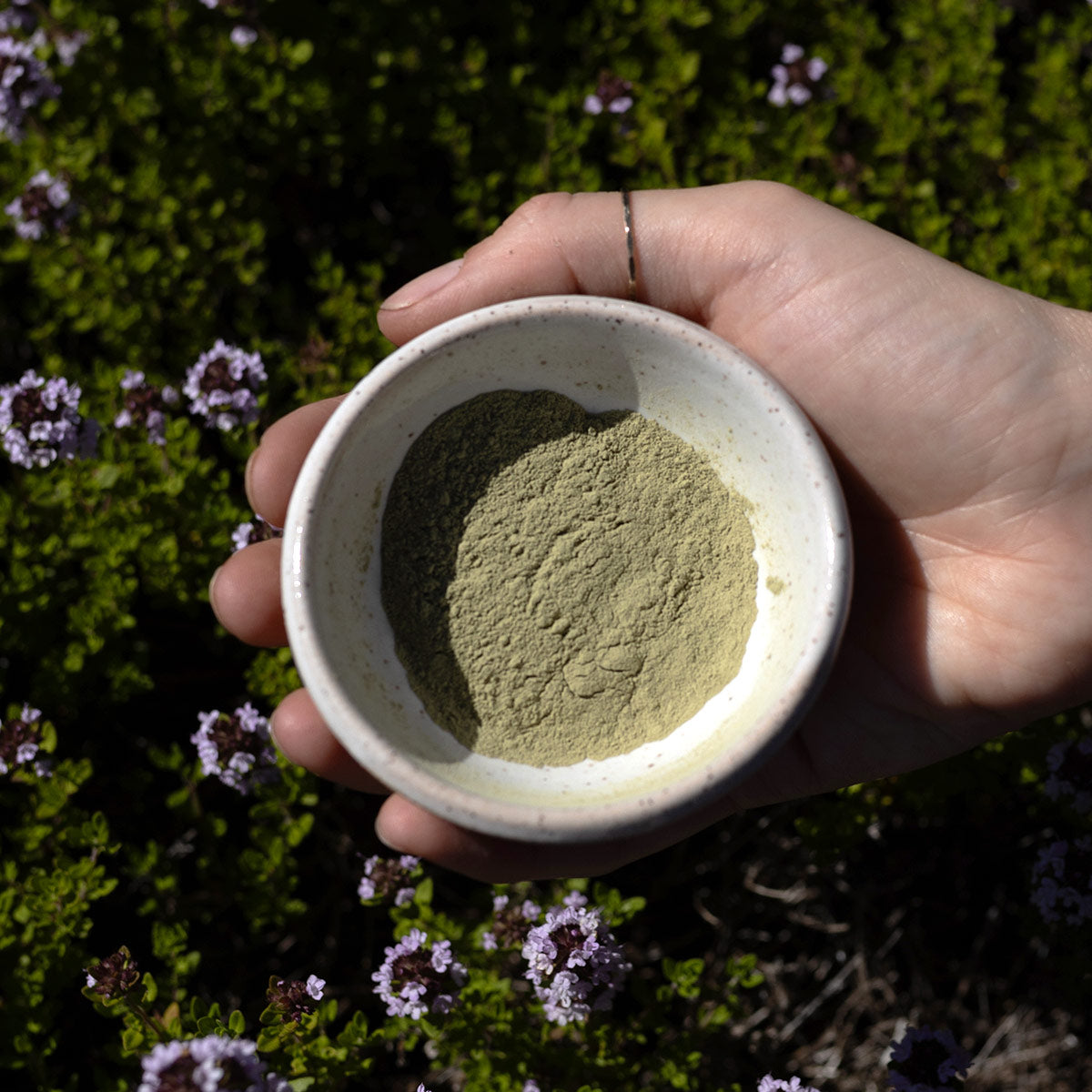 Top view of Green Tea Clay Mask showcasing green clay powder in a ceramic bowl held outdoors