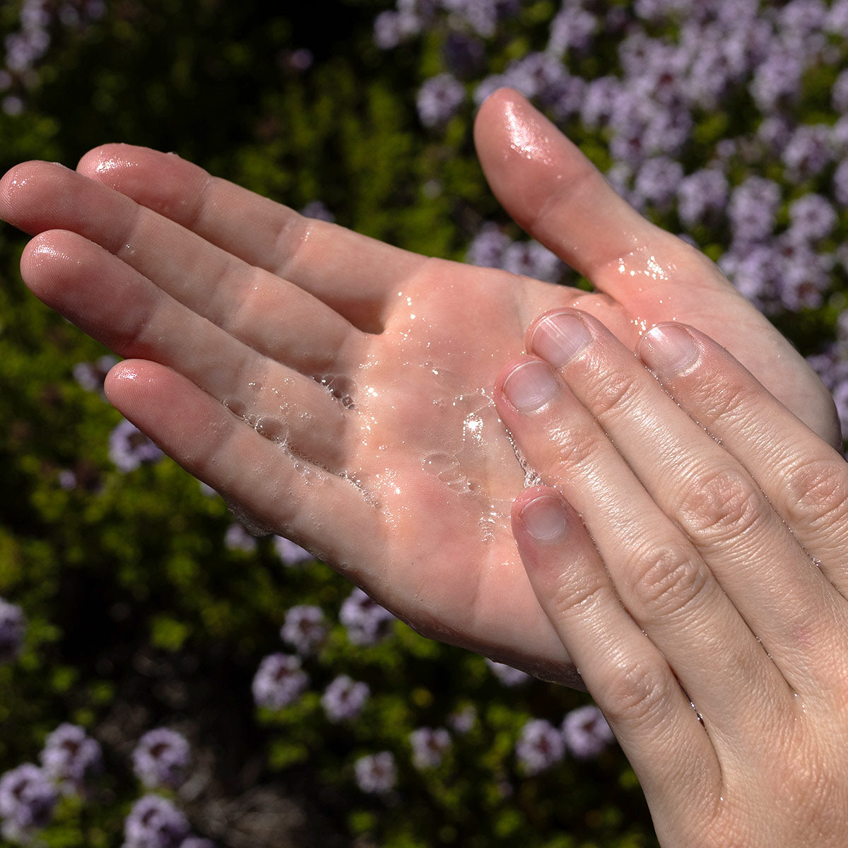 Hands applying Tea Tree Gel Cleanser with lavender flowers in the background