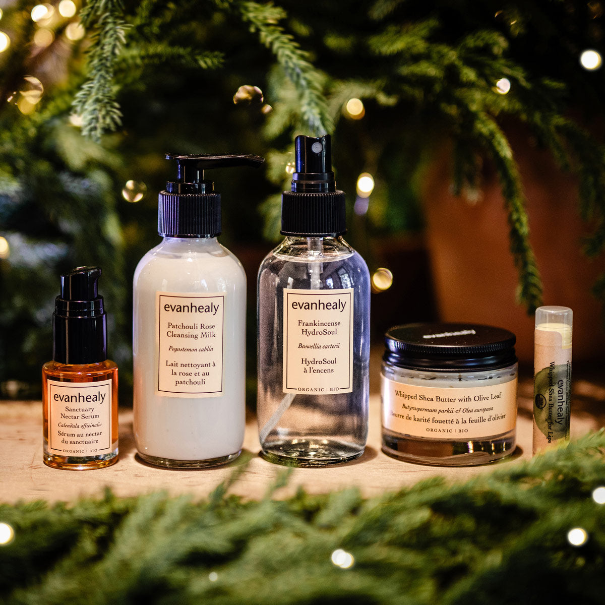 Kits & Bundles