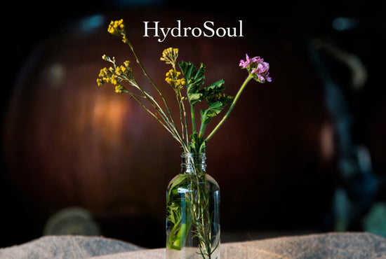 Small glass bottle holding wildflowers on a cloth with dark blurred background, overlaid with headline HydroSoul