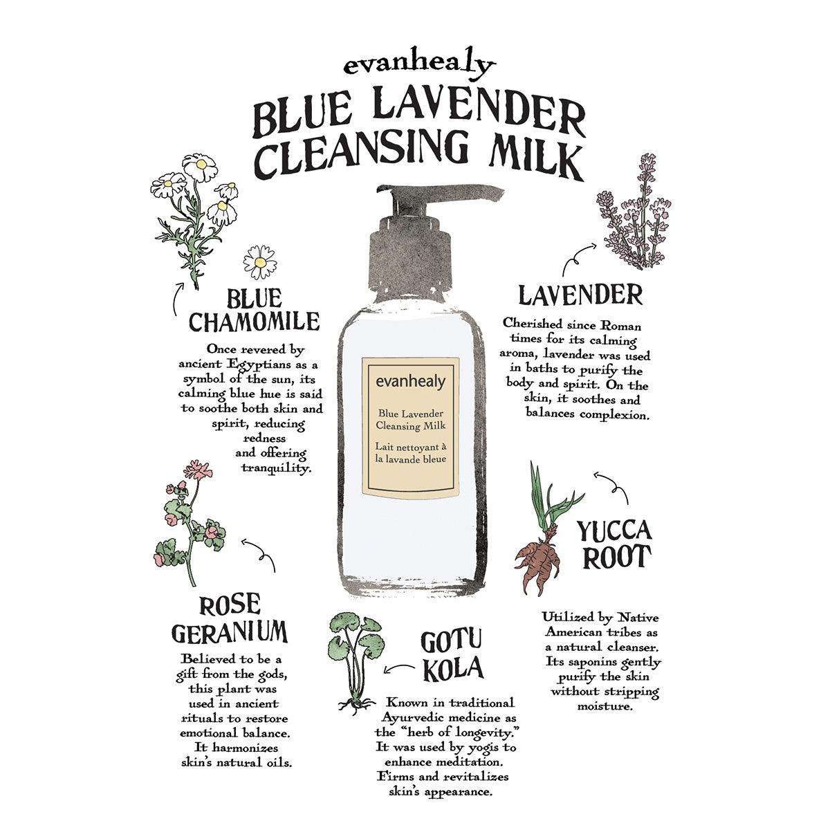 Ingredient infographic showing Blue Lavender Cleansing Milk with chamomile, blue lavender, rose geranium, yucca root, and gotu kola