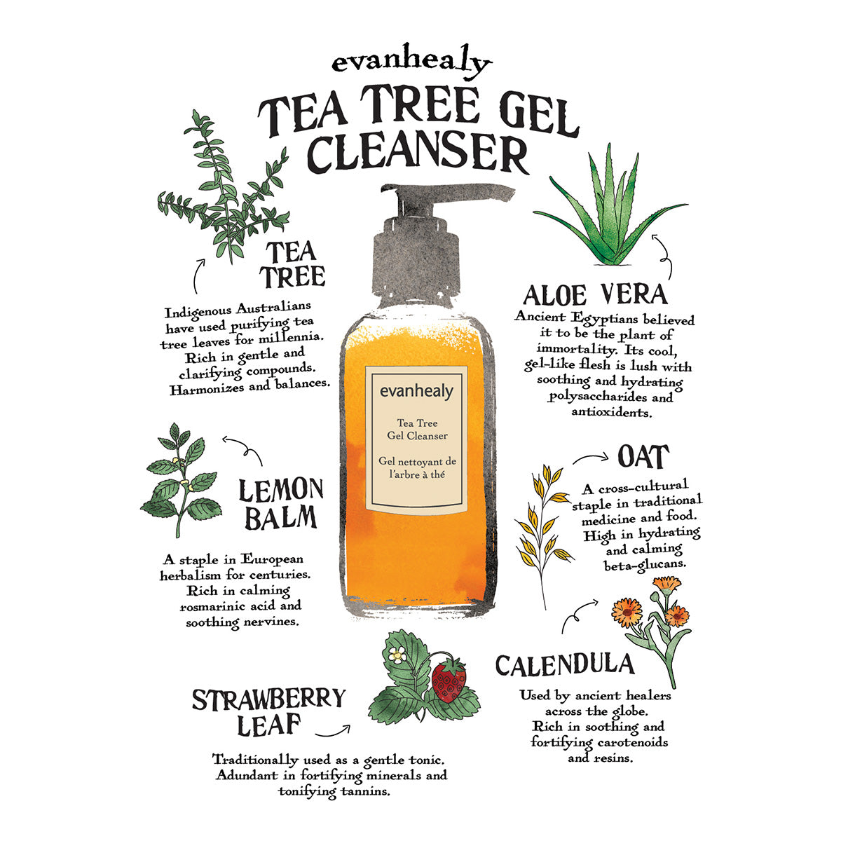 Tea Tree Gel Cleanser infographic highlighting tea tree, aloe vera, lemon balm, oat, strawberry leaf, and calendula