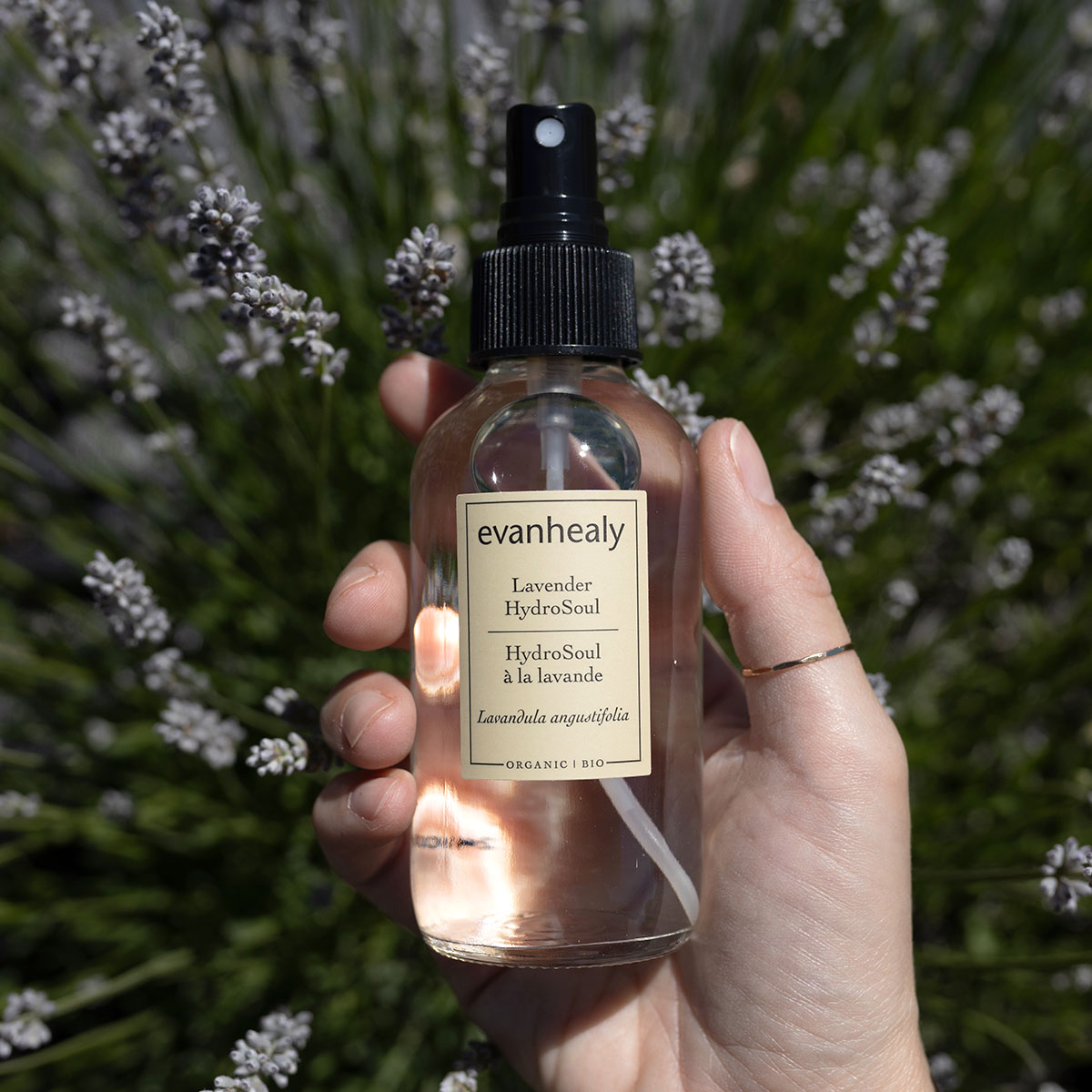 Front view of Lavender HydroSoul spray bottle held by hand among flowering lavender