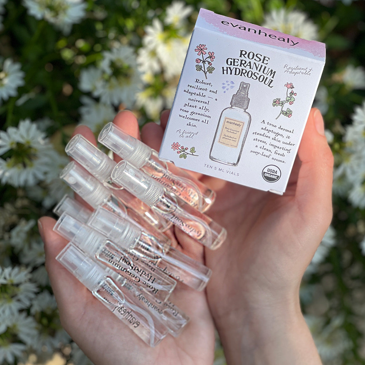 Close-up of Rose Geranium HydroSoul ten pack showcasing ten 5 ml sample bottles held in a hand with flowers behind