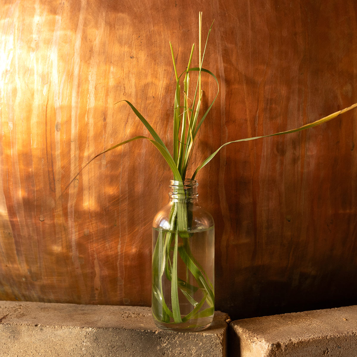 Sweetgrass stems in a glass jar against a warm wood background