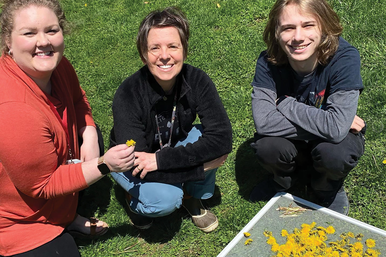 Leona Vrbanac with two students gathering dandelions on a grassy lawn