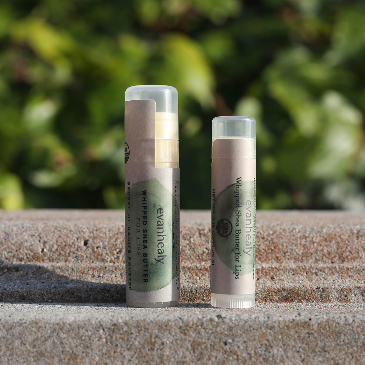 Front view of two evanhealy Whipped Shea Butter lip balms on a stone ledge outdoors
