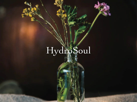 Glass bottle holding wildflower sprigs against a dark background with the overlaid title “HydroSoul”