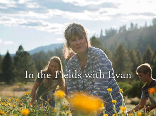 Person and two companions harvesting wildflowers in a sunlit mountain meadow, overlaid text “In the Fields with Evan”