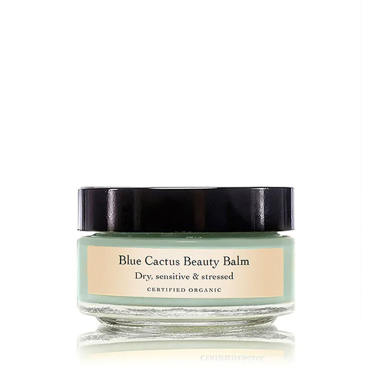 Front view of Blue Cactus Beauty Balm showcasing its glass jar and black lid on a white background
