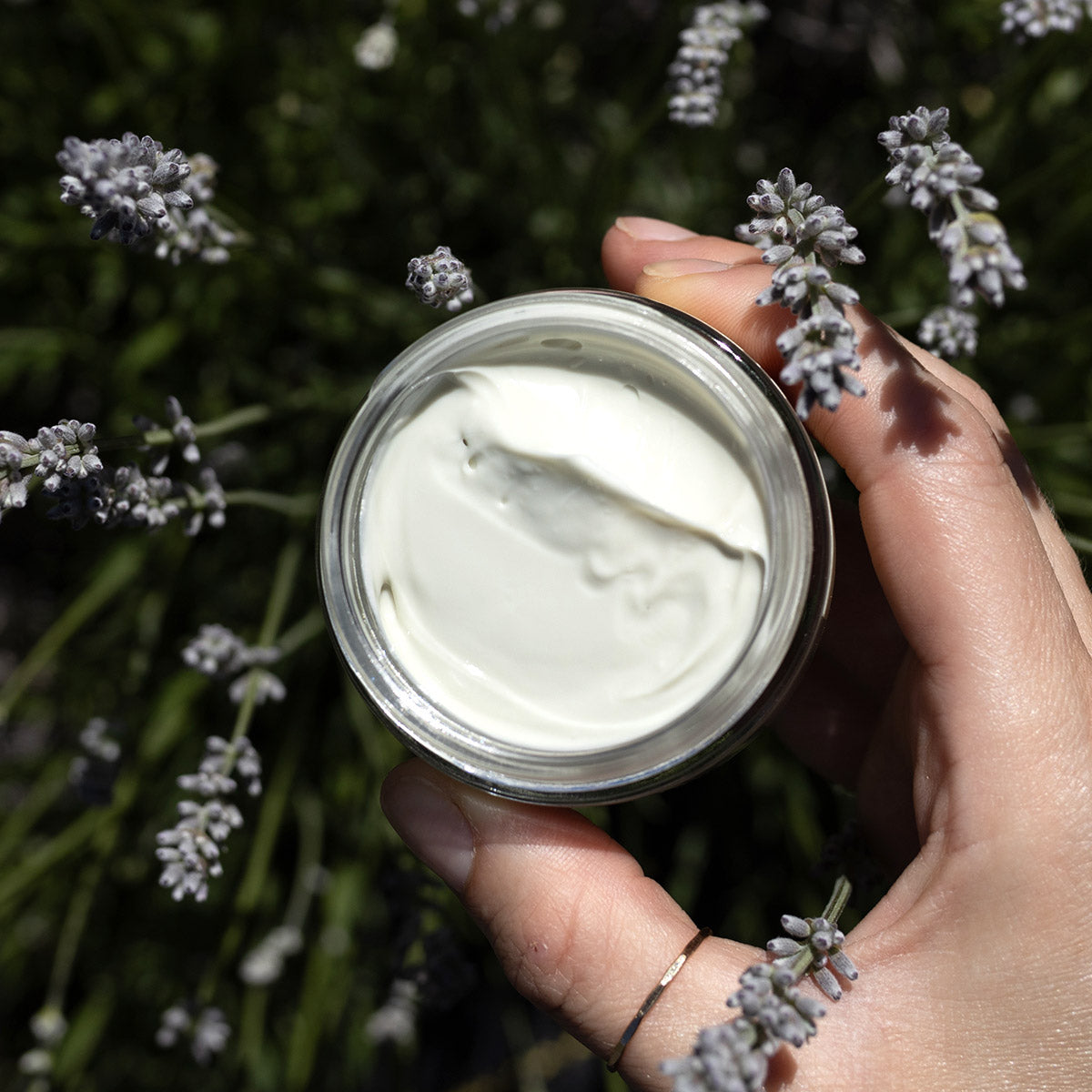 Top view of Blue Chamomile Moisturizer jar showcasing white cream with lavender flowers in background