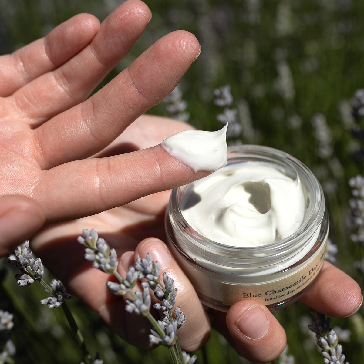 Close-up of Blue Chamomile Moisturizer showcasing its creamy texture on a fingertip with lavender flowers