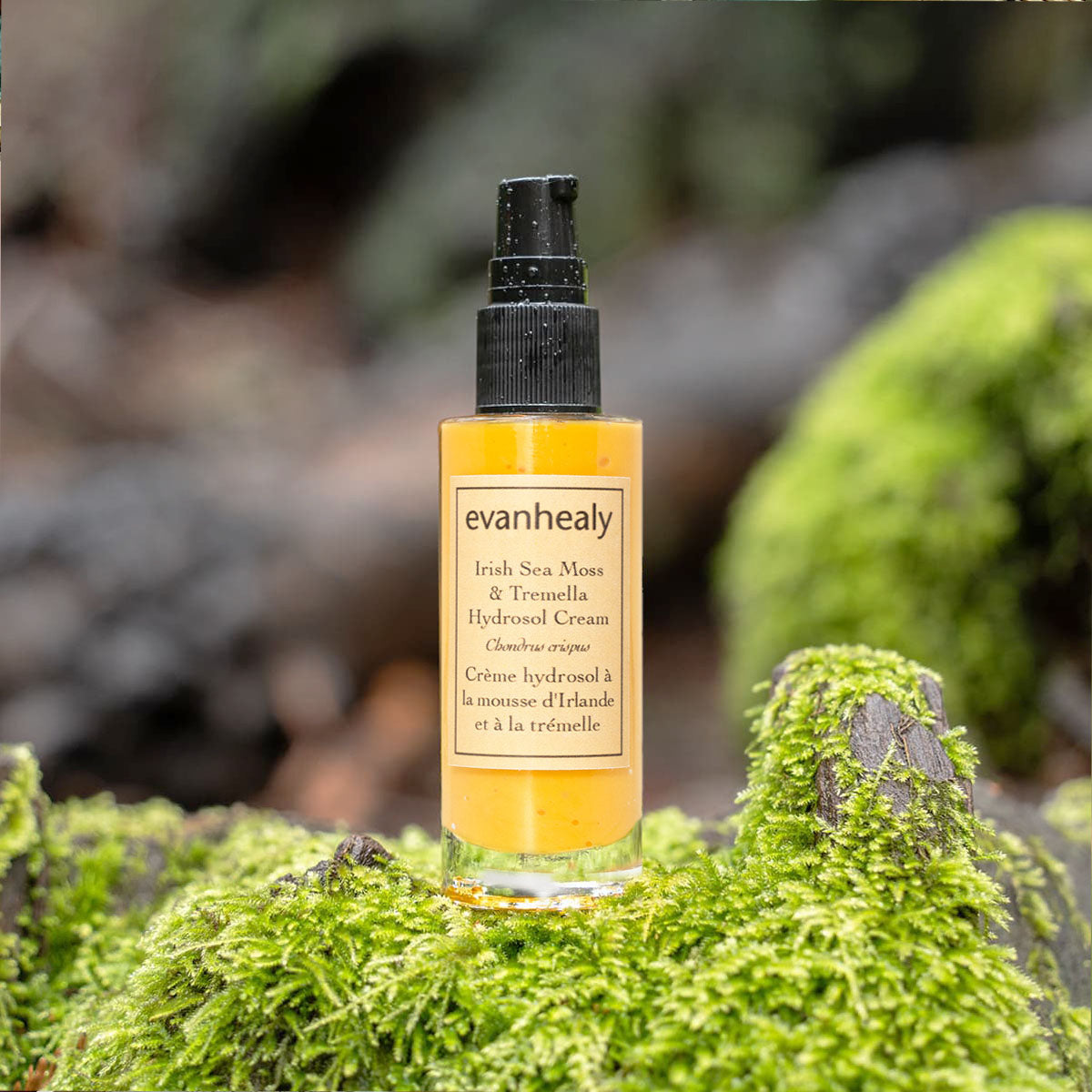 Front view of Irish Sea Moss & Tremella Hydrosol Cream showcasing its amber pump bottle with a moss-covered background