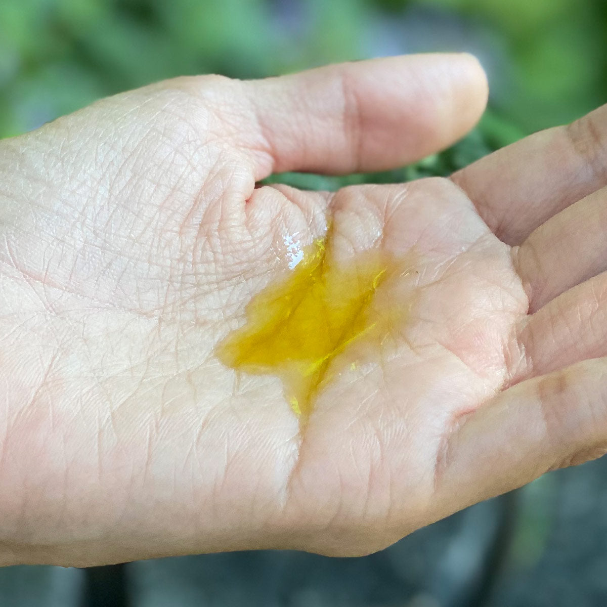 Close-up of Argan Intensive Facial Serum in an open palm showcasing golden oil texture with blurred green background