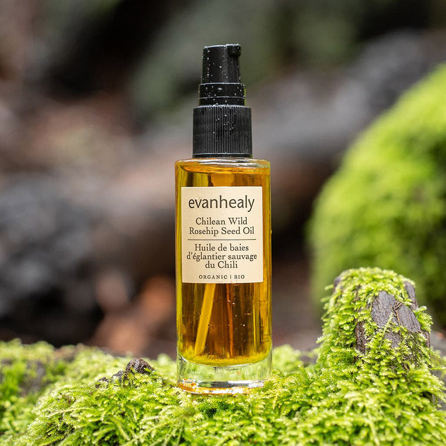 Front view of Chilean Wild Rosehip Seed Oil bottle showcasing amber oil and dropper with moss-covered forest background