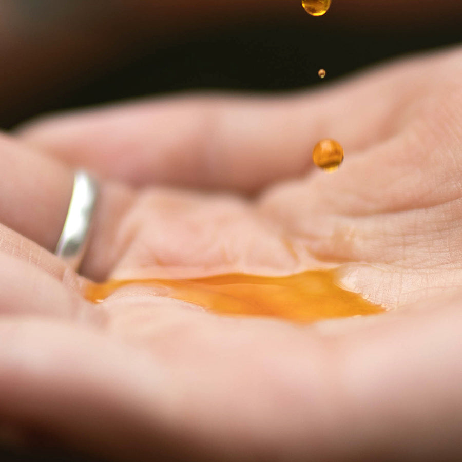Close-up of Chilean Wild Rosehip Seed Oil drops in a cupped hand showcasing golden oil texture on a blurred dark background