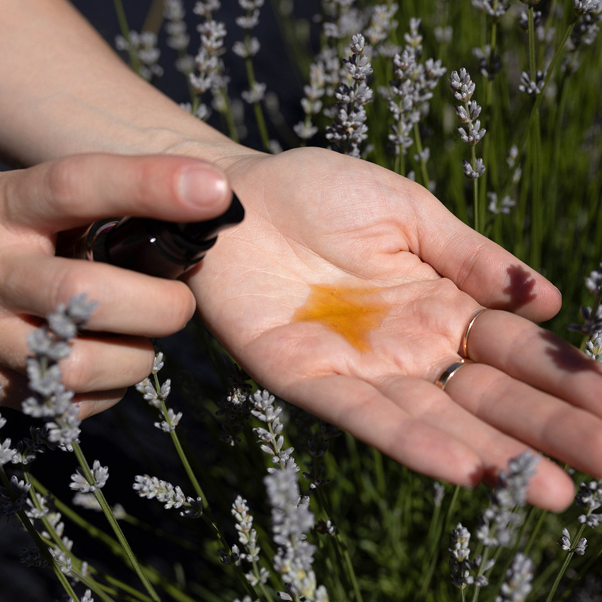 Hand dispenses golden Rosehip Balancing Serum into palm over lavender plants