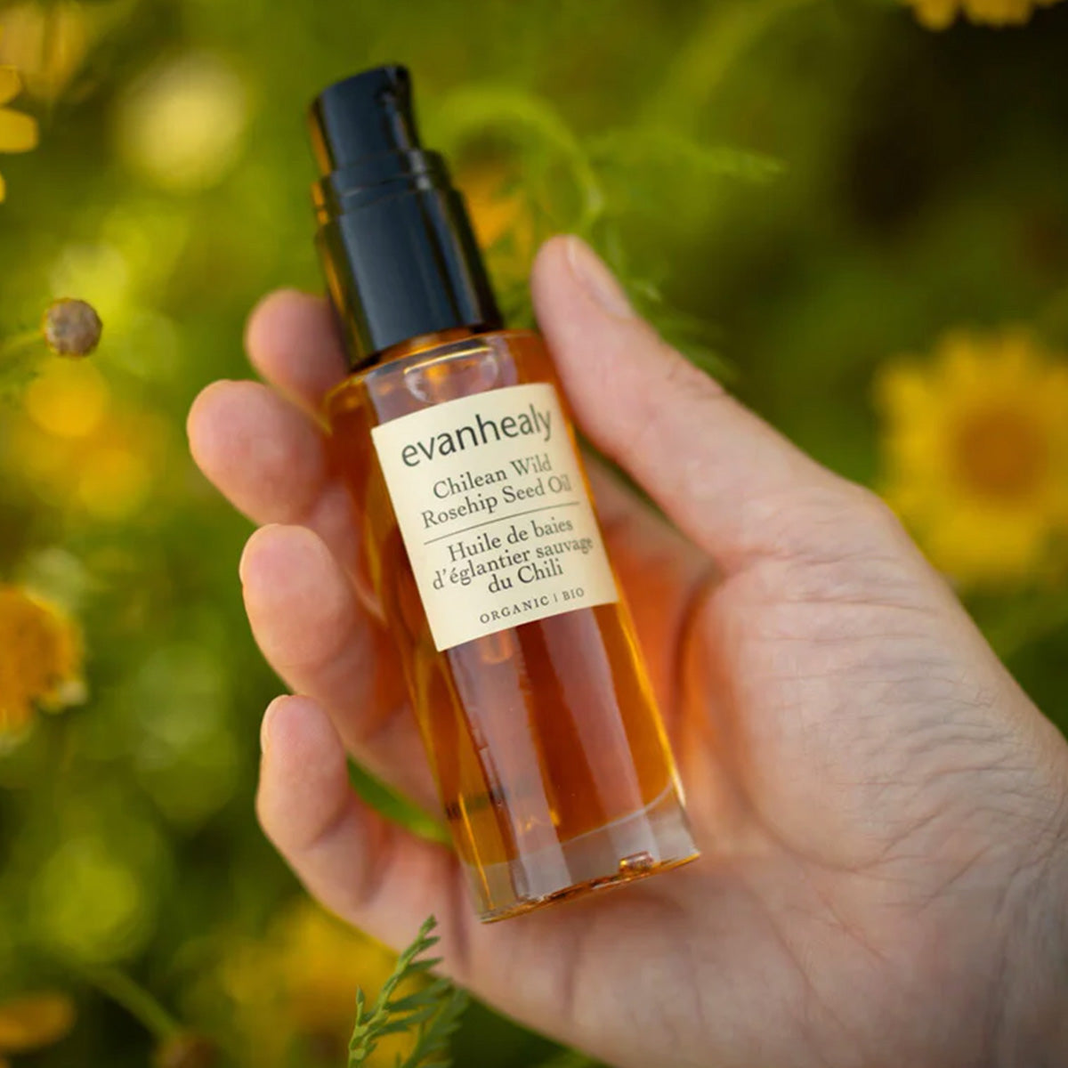 Front view of Chilean Wild Rosehip Seed Oil bottle showcasing amber oil and pump dispenser in a hand against a blurred floral background